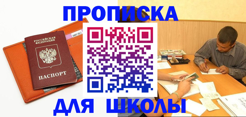 форма 3 в Сольцах